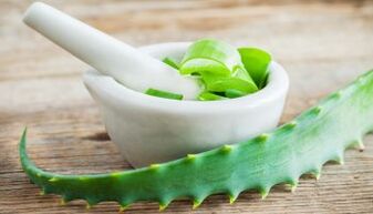 Aloe, um Parasiten aus dem Körper zu beseitigen