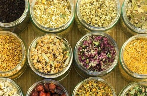 Reinigung des Körpers von Parasiten mit Volksheilmitteln