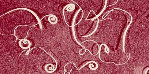 Foto von Parasiten aus dem menschlichen Körper