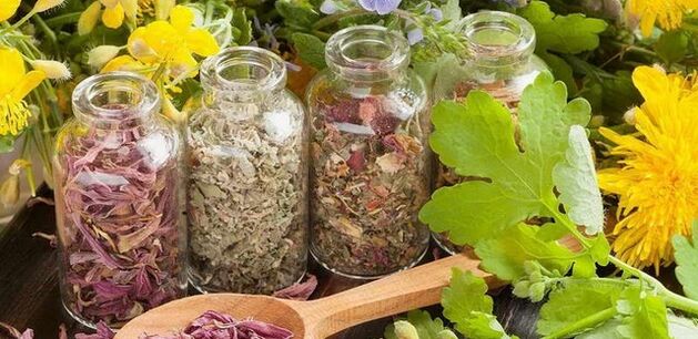 Kräuter zur Reinigung des Körpers von Parasiten