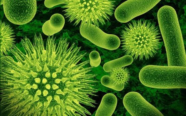 schädliche menschliche Parasiten